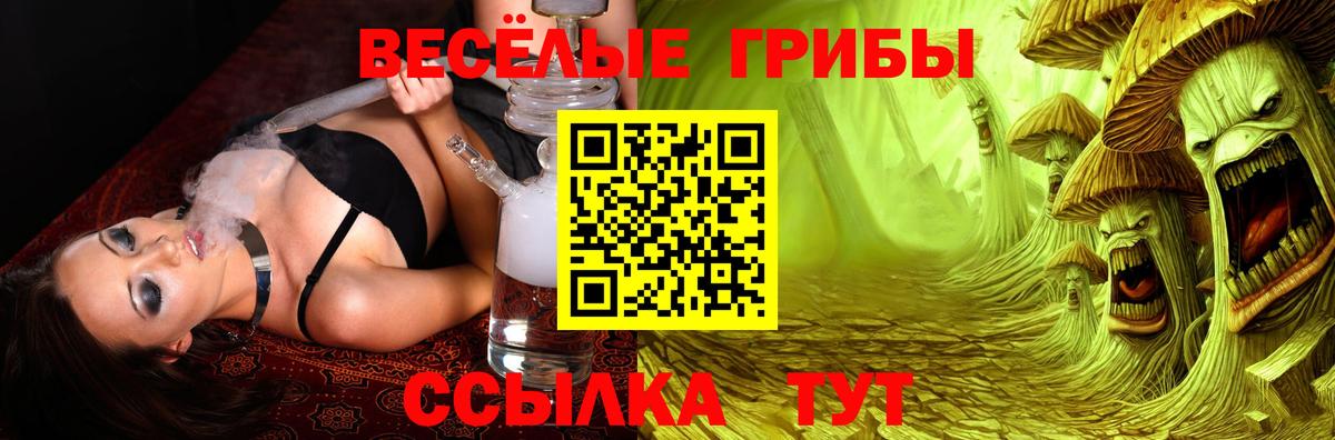 Псилоцибиновые грибы Psilocybe Тихорецк