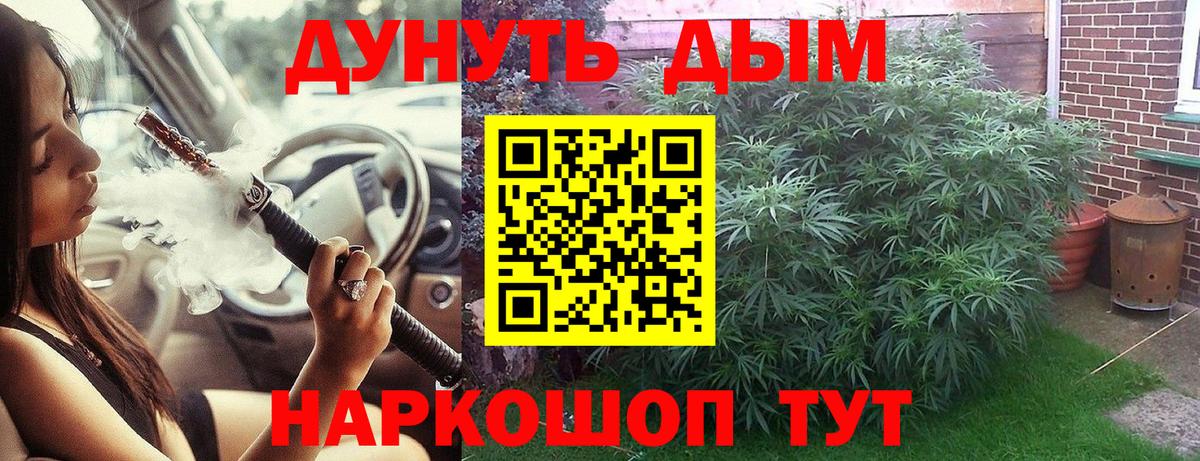 Каннабис индика Тихорецк